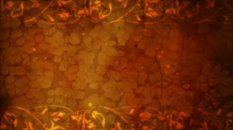 Autumn Flow Stock Footage 50643621