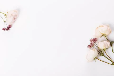 Autumn flowers composition. Frame made of pink rose, hydrangea flowers on white Foto stock