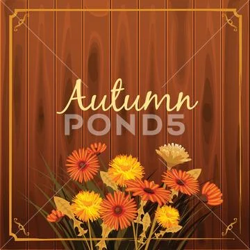 Autumn flowers, Fall, leaves, banner, greeting card, autumn colors, wooden Stock Illustration