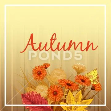 Autumn flowers, Fall, leaves, banner, greeting card, autumn colors, template Stock Illustration