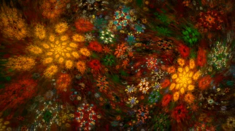 Autumn flowers Stock Footage 523756