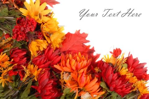 Autumn flowers placed in a pattern to form a border Foto stock