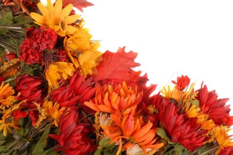 Autumn flowers placed in a pattern to form a border Foto stock