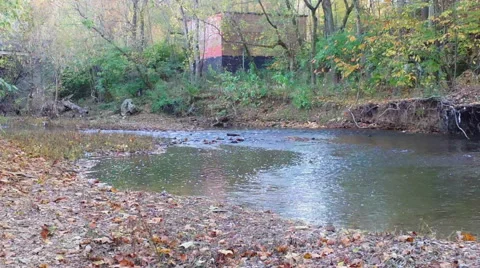 Autumn Flowing Stream Stock Footage 43312546