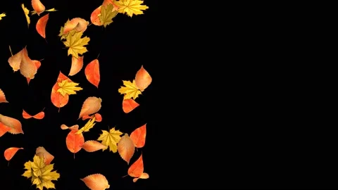 Autumn fly on a black background. 3D animation of leaf fall. Autumn concept. Stock Footage 194161965