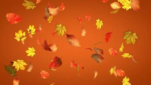 Autumn fly on a orange background. 3D animation of leaf fall. Stock Footage 211650079