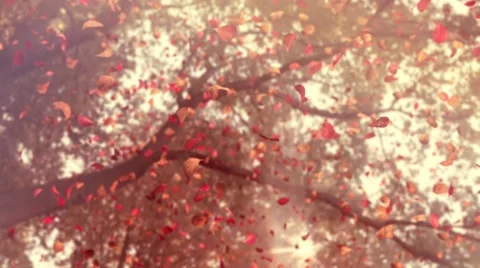 Autumn Flying Leafs #2 Stock Footage 46148855
