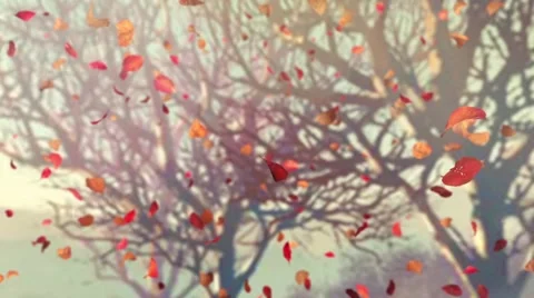 Autumn Flying Leafs #4 Stock Footage 46147640