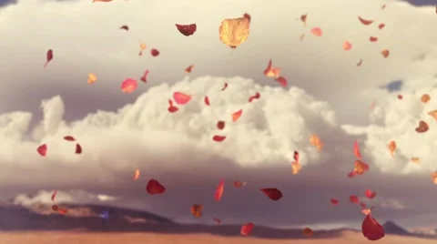 Autumn Flying Leafs #6 Stock Footage 46148402