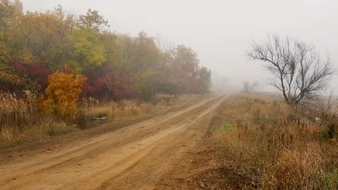 Autumn fog Vídeos de archivo 81237385