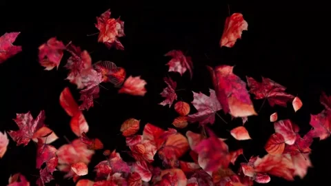 Autumn Foliage Animation 4K UHD Video Background with Falling Leaves, Fall .. Stock Footage 344014885