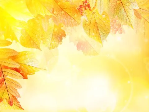 Autumn foliage background. Stock Illustration