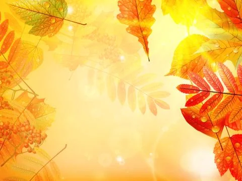 Autumn foliage background. Stock Illustration