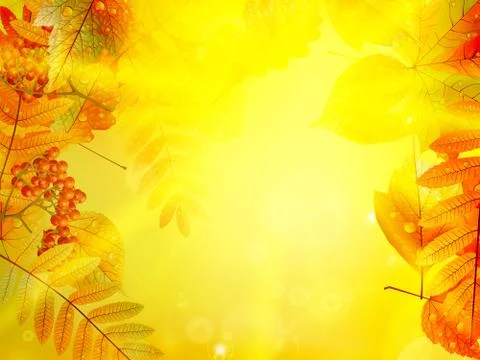 Autumn foliage background. Stock Illustration