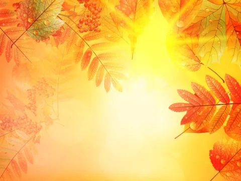 Autumn foliage background. Stock Illustration