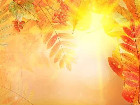 Autumn foliage background. Stock Illustration