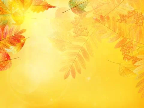 Autumn foliage background. Stock Illustration