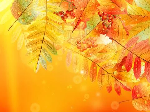 Autumn foliage background. Stock Illustration
