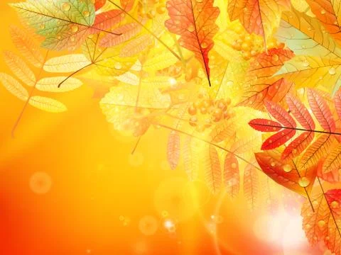 Autumn foliage background. Stock Illustration
