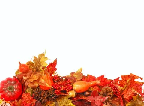 Autumn foliage background Stock Photos