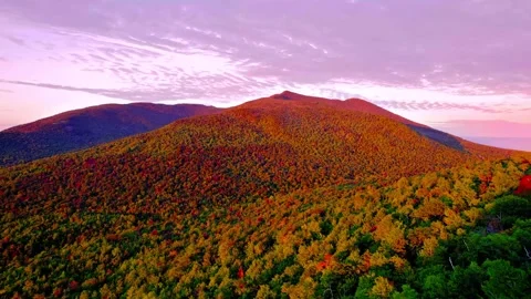 Autumn foliage covers mountain slopes at sunrise, aerial drone view, vibrant Stock Footage 344240857