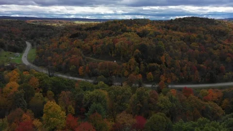 Autumn Foliage Flyover Stock Footage 333692573