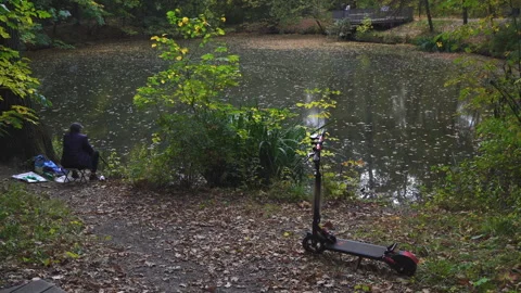 Autumn foliage Stock Footage 252443734