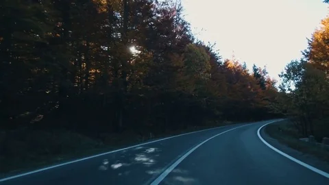 Autumn foliage in forest with road Video stock 81620986