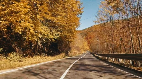 Autumn foliage in forest with road Video stock 81620996