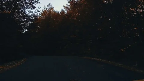 Autumn foliage in forest with road Stock Footage 81622908