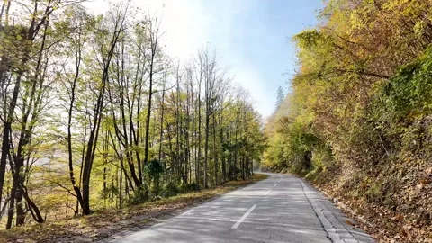 Autumn Foliage Framed Country Road Stock Footage 288831753