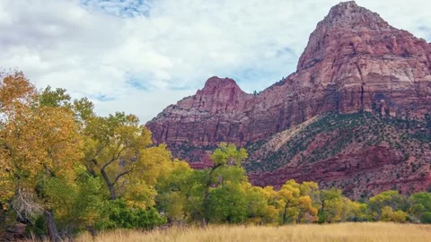 Autumn Foliage Frames The Watchman Formation in Zion National Park, Utah Stock Footage 332020575