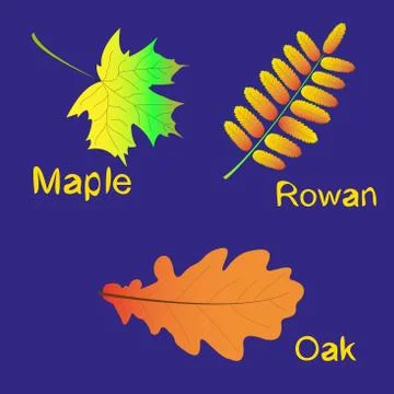 Autumn foliage gradient Stock Illustration