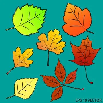 Autumn foliage gradient1 Stock Illustration