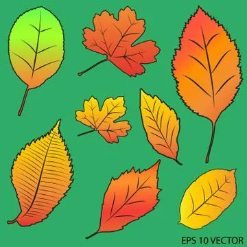 Autumn foliage gradient2 Stock Illustration