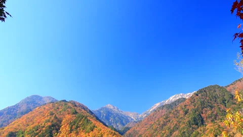 Autumn Foliage of Maple Trees and Mount Renka in the Northern Alps Видео 330383935