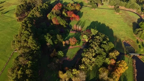 Autumn foliage park Vidéo 337280484