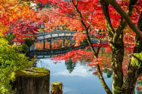 Autumn foliage at the stone bridge in Eikando Temple, Kyoto, Japan Stock Photos
