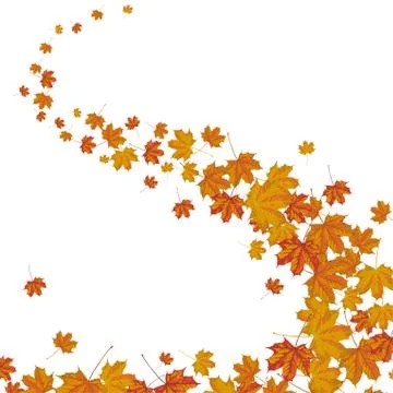 Autumn foliage wind Stock Illustration
