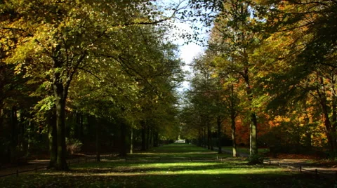 Autumn Stock Footage 905771