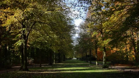 Autumn Stockbeeldmateriaal 905863