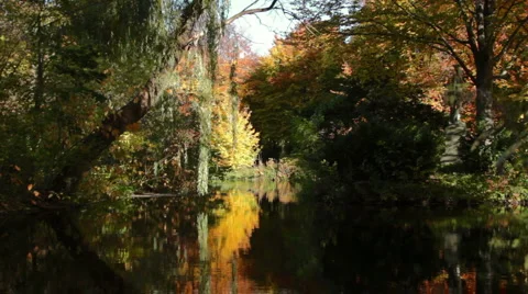 Autumn Stockbeeldmateriaal 906027