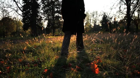 Autumn Stock Footage