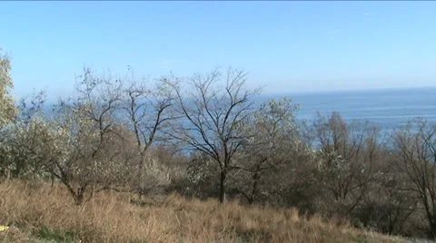  Autumn 스톡 동영상 926037