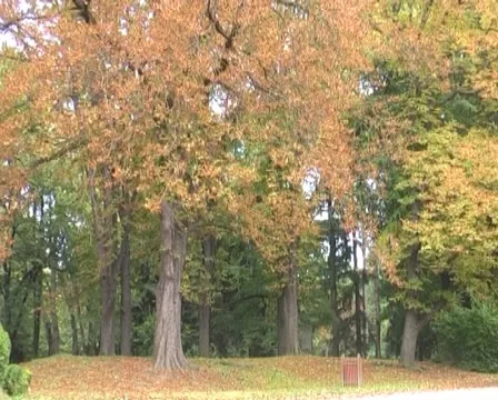 Autumn Stock Footage 1078727