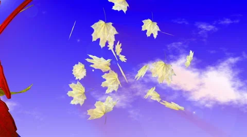 Autumn Video stock 2278747