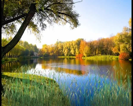 Autumn Stock Footage 6523847