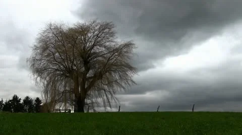 Autumn Stock Footage 11755490