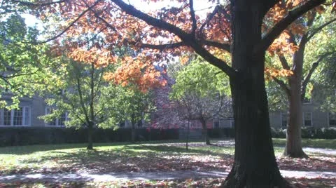 Autumn Stock Footage 18398418