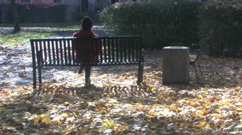 Autumn Stock Footage 18410975